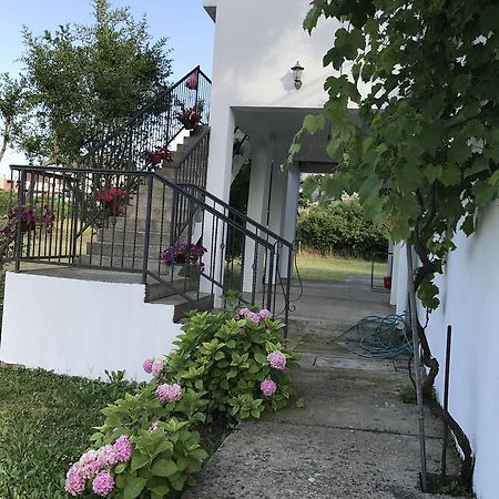 Apartmani Dragana ヘルツェグ・ノヴィ エクステリア 写真