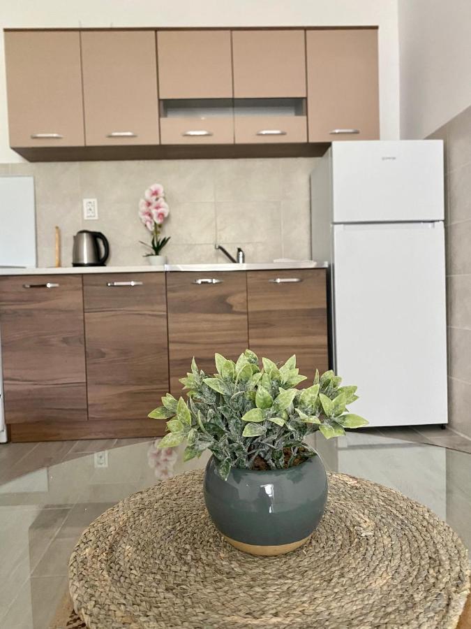Apartmani Dragana ヘルツェグ・ノヴィ エクステリア 写真