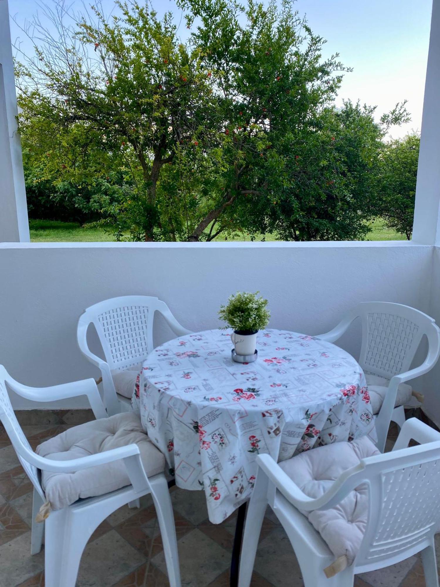 Apartmani Dragana ヘルツェグ・ノヴィ エクステリア 写真