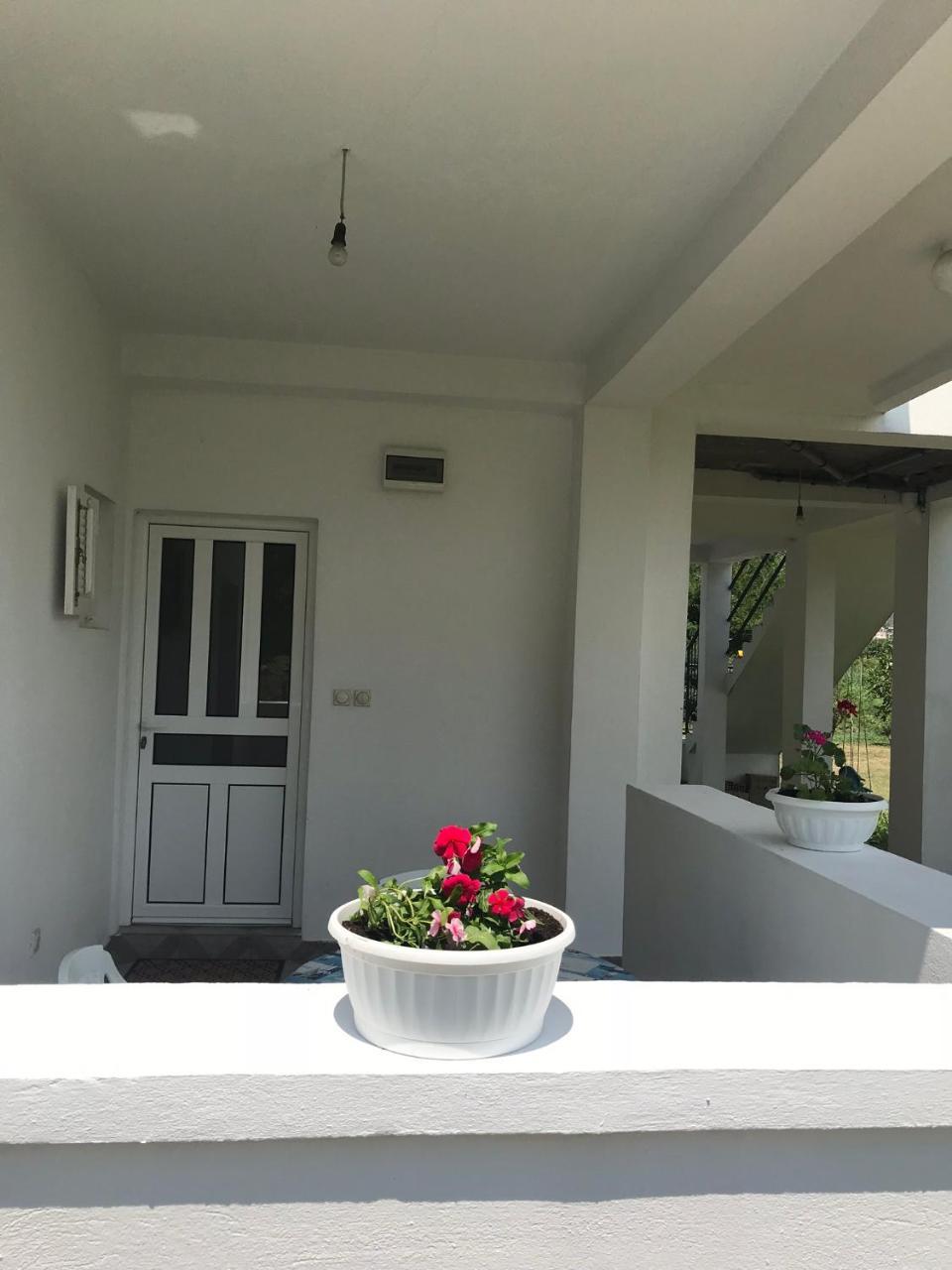 Apartmani Dragana ヘルツェグ・ノヴィ エクステリア 写真