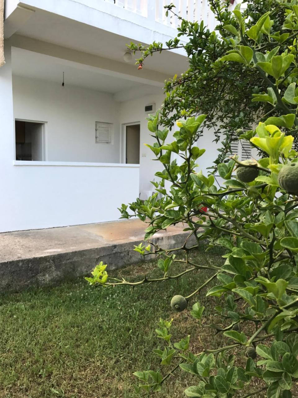 Apartmani Dragana ヘルツェグ・ノヴィ エクステリア 写真