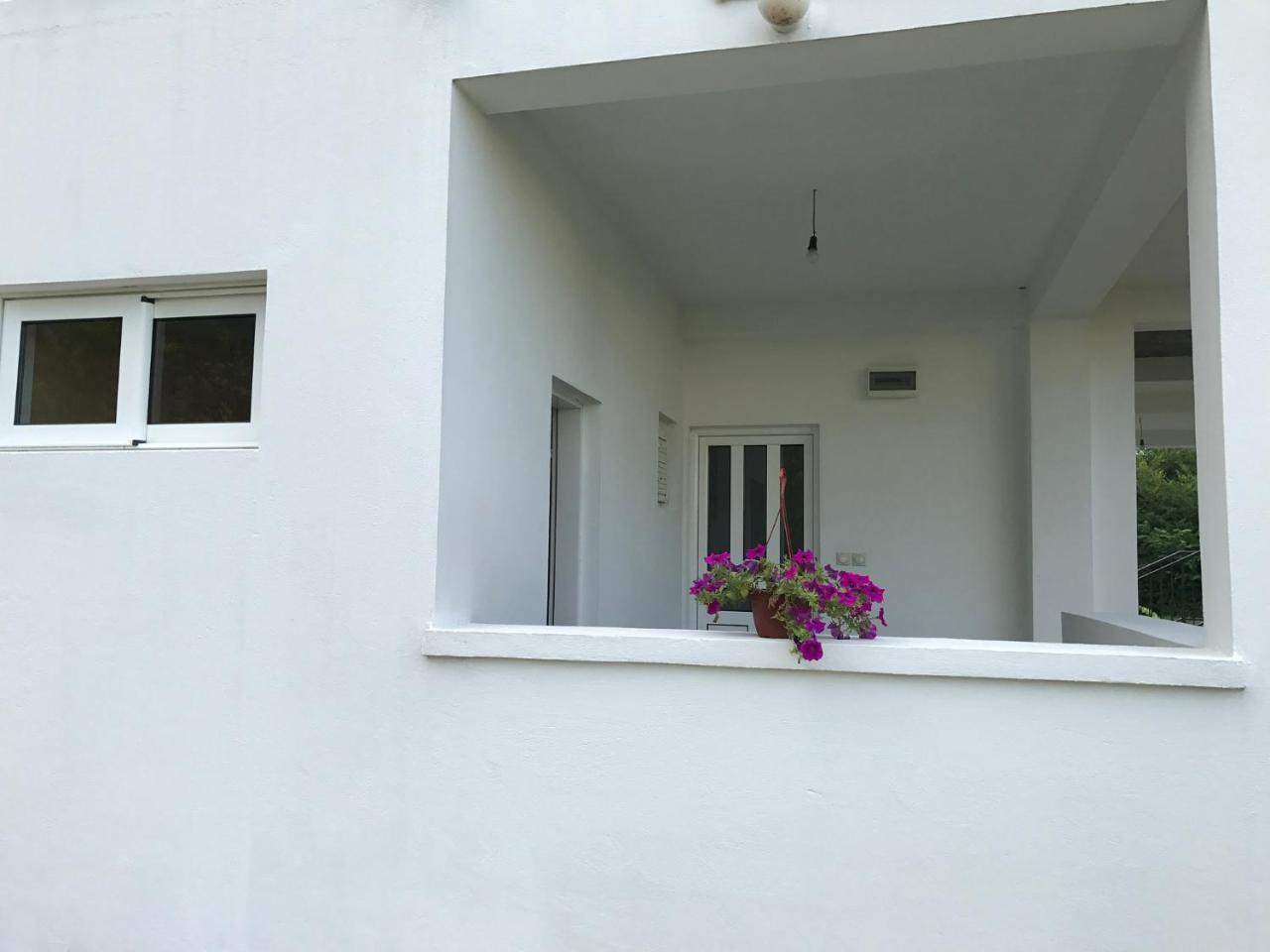 Apartmani Dragana ヘルツェグ・ノヴィ エクステリア 写真