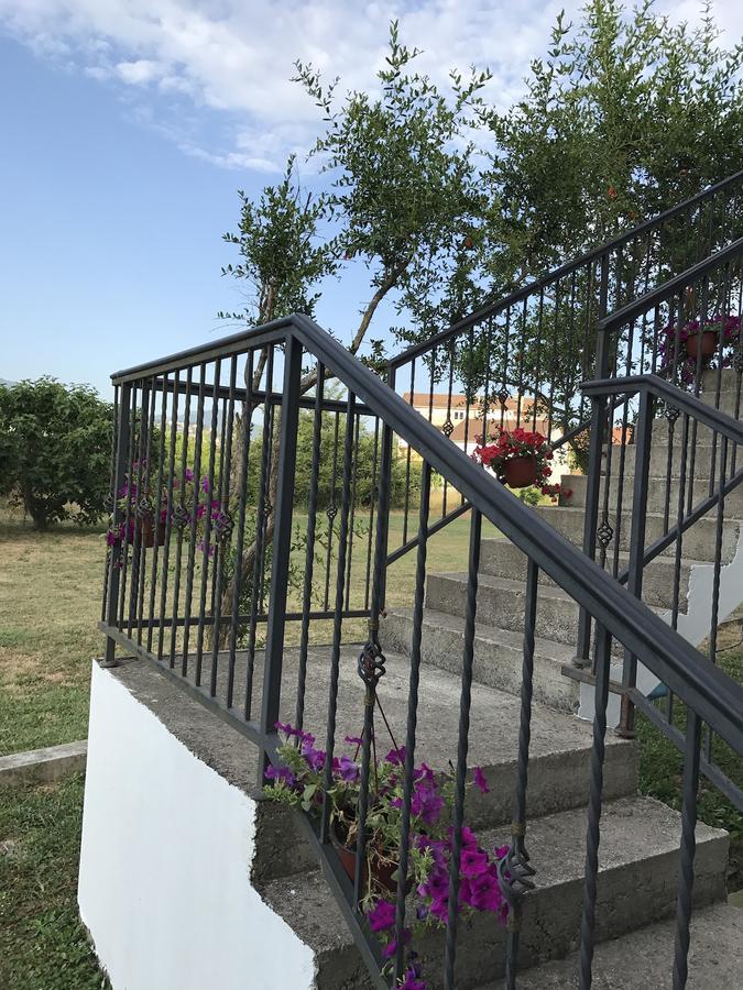 Apartmani Dragana ヘルツェグ・ノヴィ エクステリア 写真